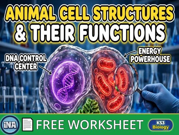 Animal Cell Structures and Their Functions - FREE KS3 Biology Worksheet