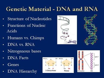 Genetic Material - DNA and RNA - Biology PowerPoint Lesson and Student