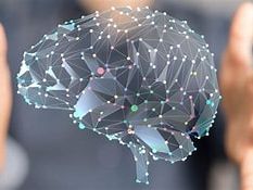 NEUROPEDAGOGY APPLIED TO ELT