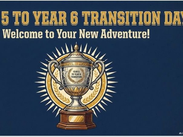 Transition or end of term activities