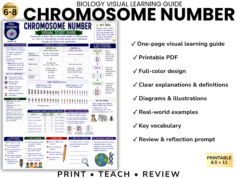 CHROMOSOME NUMBER | Biology Visual Learning Guide | Grade 8 & Middle School Science