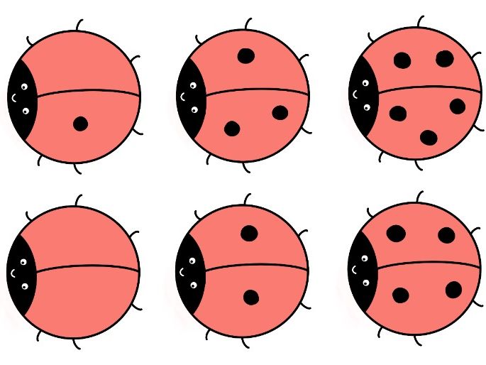 Ladybird Number Matching