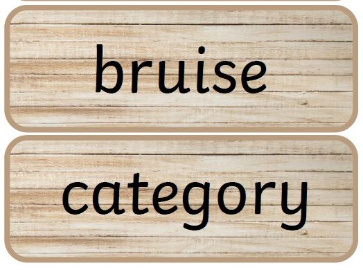 Year 5 and 6 common exception words - natural