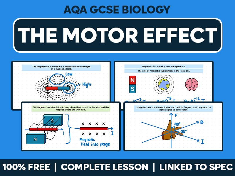 GCSE AQA Physics Complete Lesson - The Motor Effect