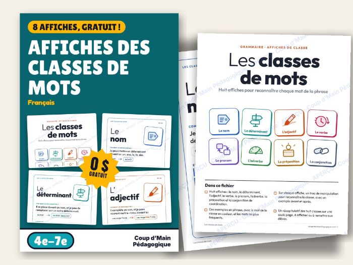 FREE French Parts of Speech Posters Grammar | Affiches des classes de mots