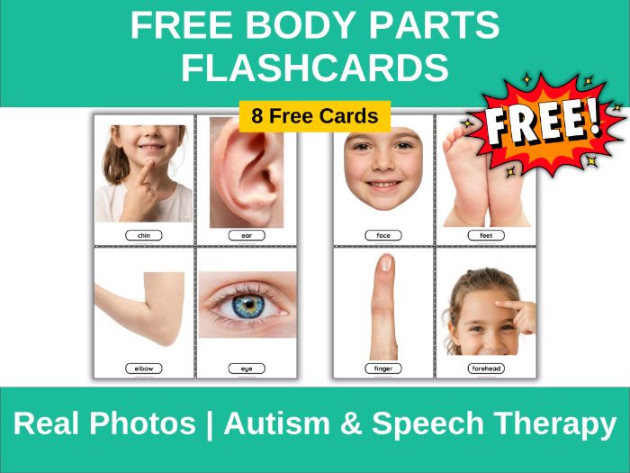 Free Body Parts Flashcards for Autism