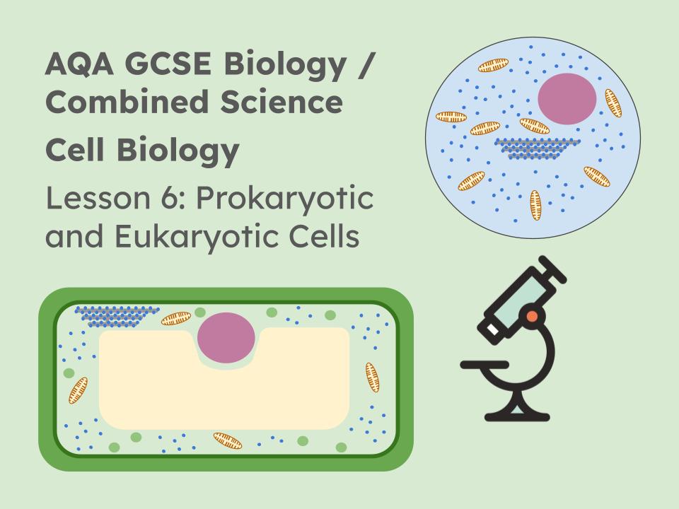 Lesson 6 Eukaryotes and Prokaryotes