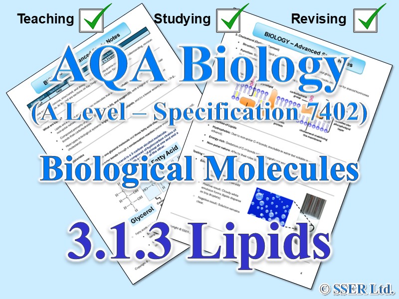 BIOA_AQA Topic Notes: 3.1.3 Lipids
