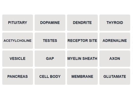 AQA Psychology Biopsychology Connections Games (NEW SPEC)