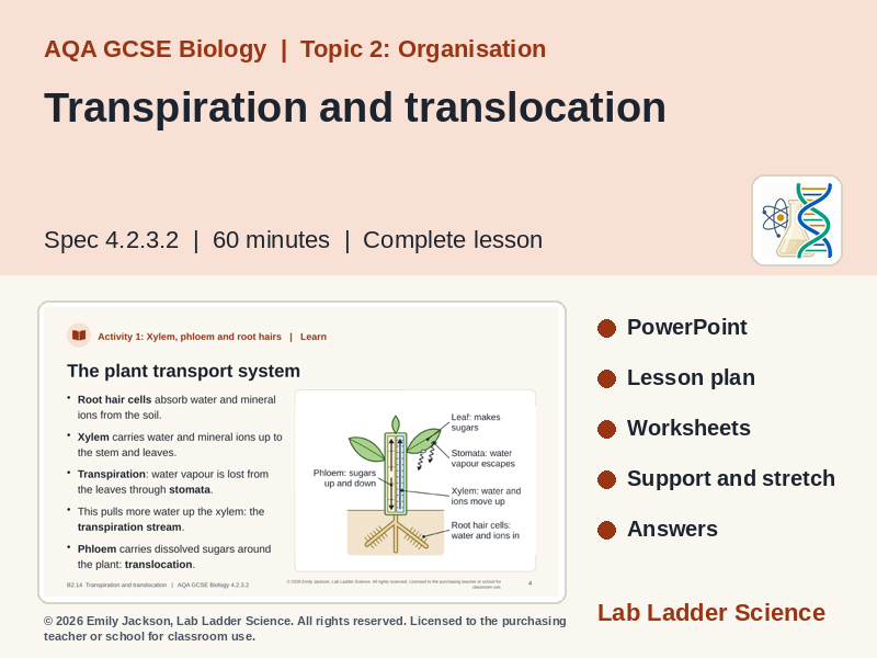 B2-14 Transpiration & Translocation: AQA GCSE Biology