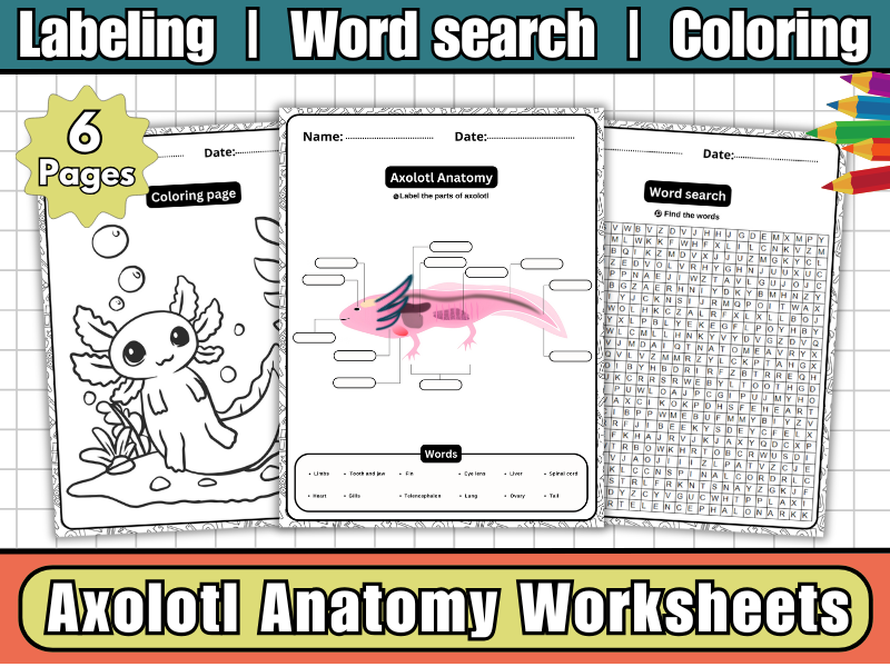 Axolotl Anatomy-Axolotl Labeled Diagram Worksheets,WordSearch & Coloring | Amphibian Science Activi