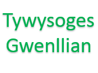 Y Tywysoges Gwenllian - Stori