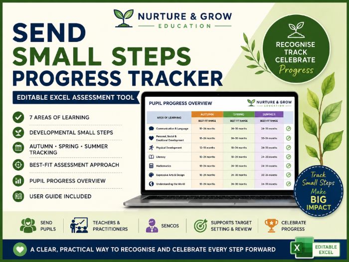 SEND Small Steps Progress Tracker | Excel