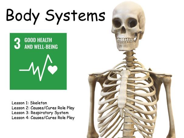 Body System Slides