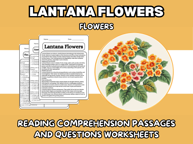 Lantana Flowers - Flowers Reading Comprehension Passages & Questions ...
