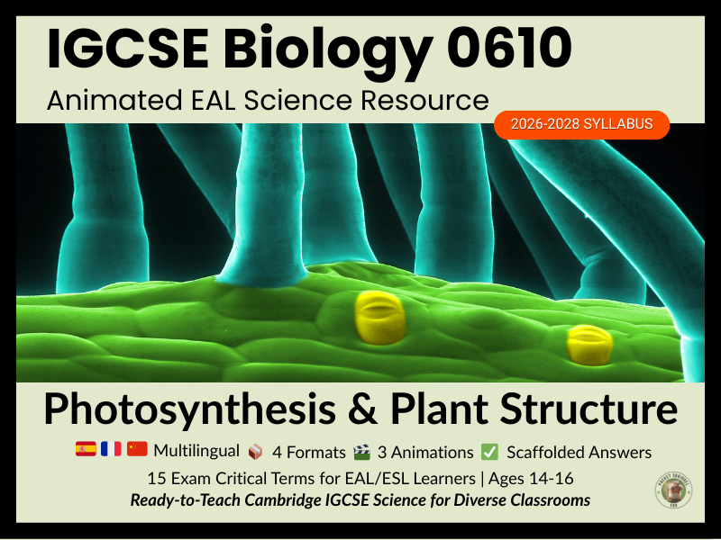 IGCSE Biology 0610 Photosynthesis & Plant Structure