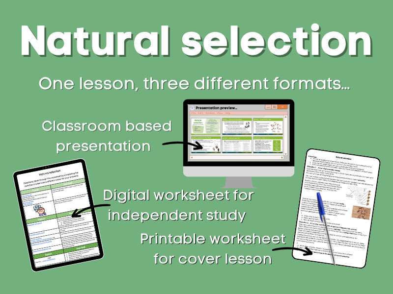Natural selection Lesson bundle