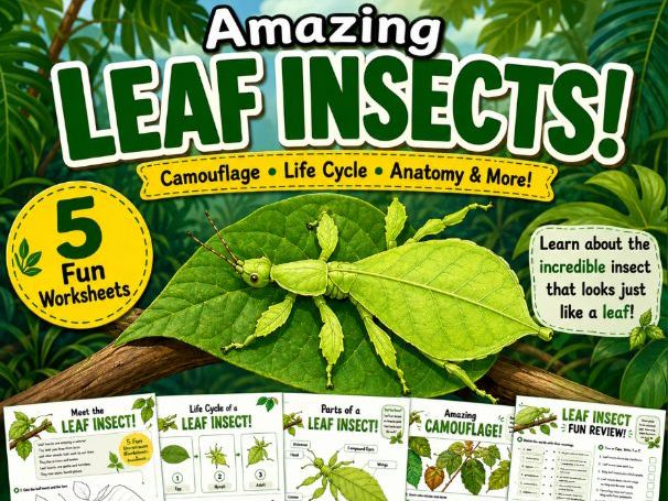 Amazing Leaf Insects | Science Worksheets | Camouflage, Mimicry | Ages (6-10)