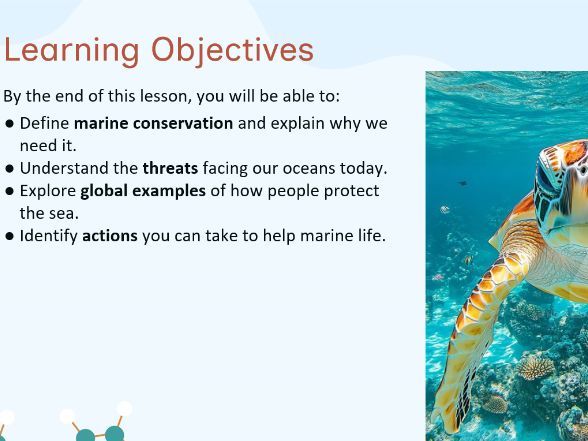 Science Eco Week lesson