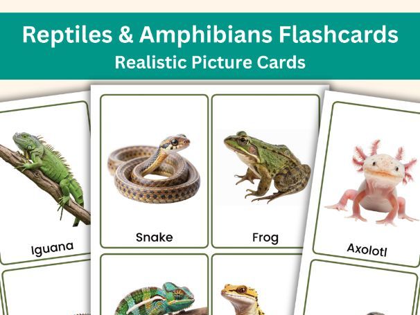 Reptiles & Amphibians Flashcards | Animal Picture Cards | Science Vocabulary