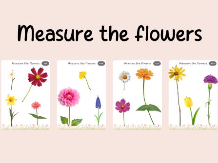 Maths- measures-length- measure the flowers