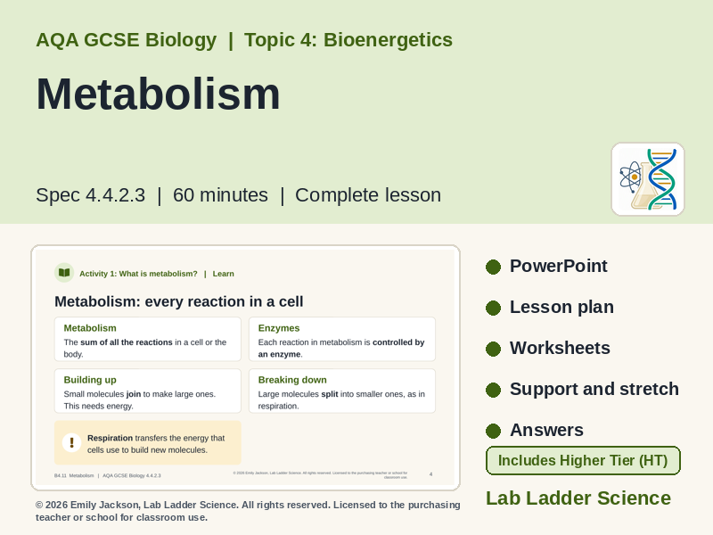 B4-11 Metabolism: AQA GCSE Biology