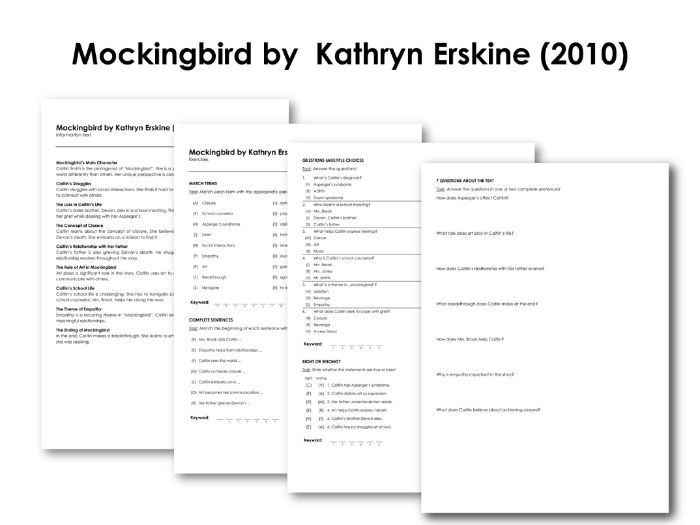 Mockingbird by Kathryn Erskine (2010) Teaching Resources