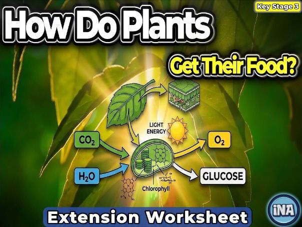 Plant Nutrition - KS3 Biology Extension Pack