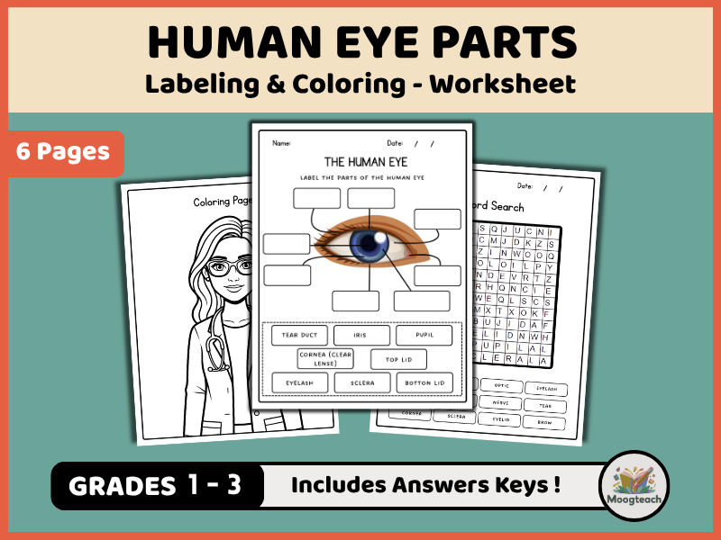 Human Eye Parts | The Five Senses | Labeling | Biology | Coloring Worksheet | KS1 | KS2 | KS3