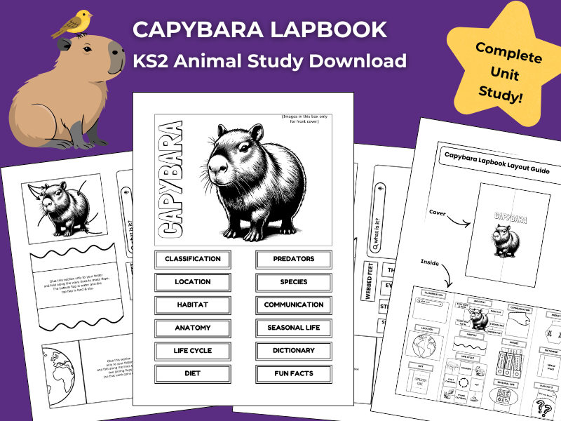 Capybara KS2 Animal Science Activities | Lapbook