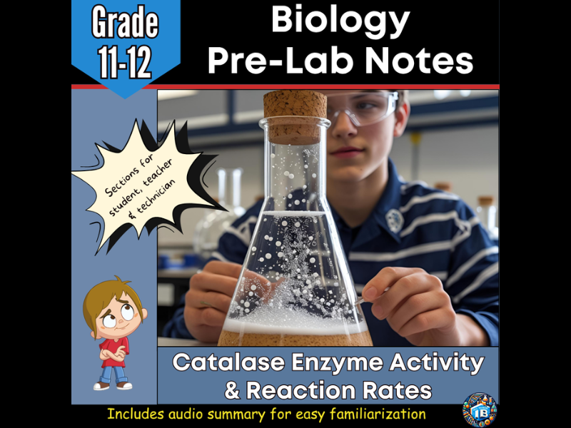 IB DP Biology Catalase Enzyme Activity and Reaction Rate Lab Notes 2026
