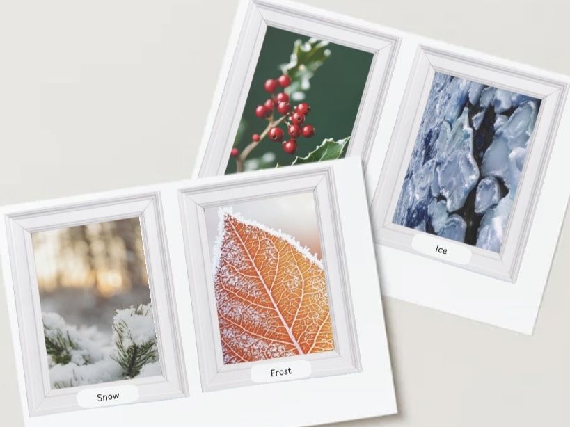 Winter visuals with vocabulary