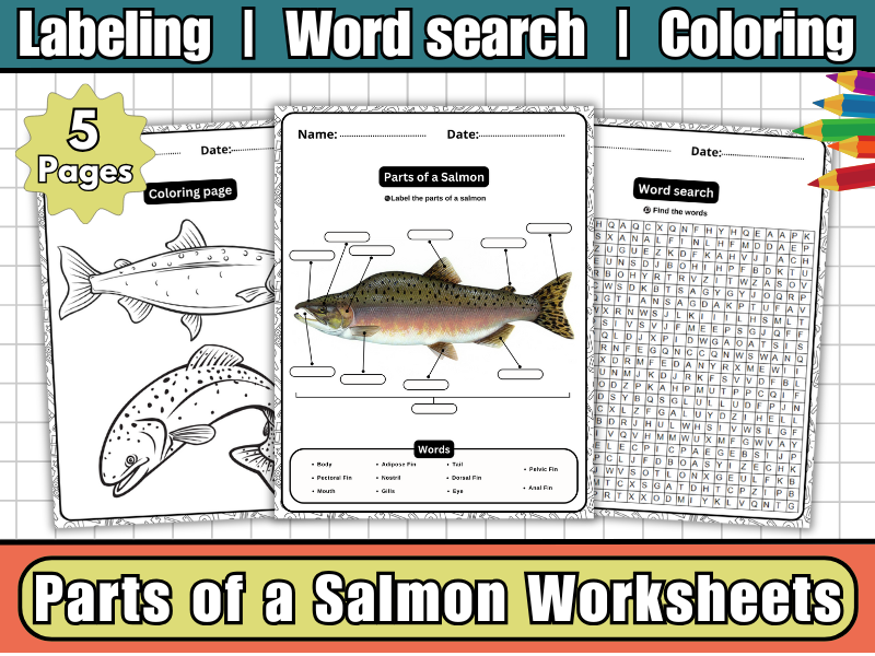 Parts of a Salmon-Labeling Diagram, Coloring Page, Word Search | Fish Anatomy Worksheets