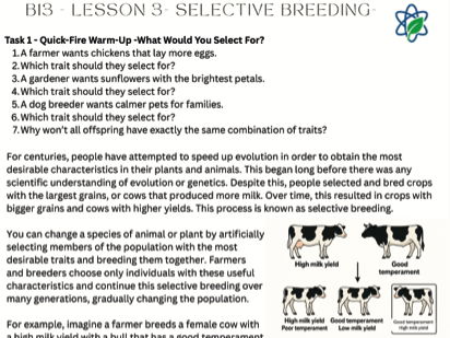 B13/L3 - Selective Breeding Revision Worksheet With Answers/ GCSE /AQA/Combined Science
