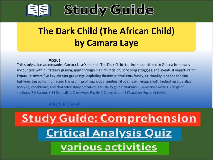 Study Guide for :The Dark Child (The African Child) | Comprehension Test
