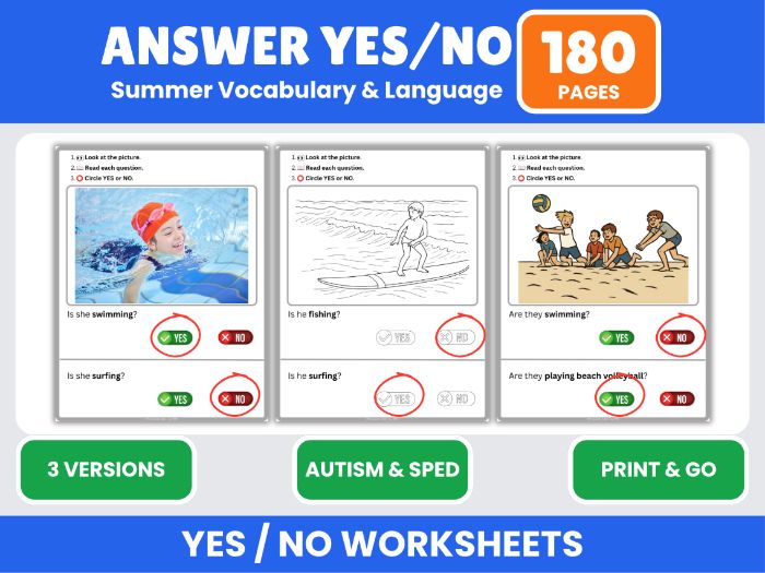 Summer Yes or No Question Activities
