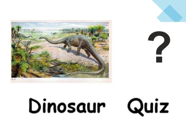 Dinosaur Quiz
