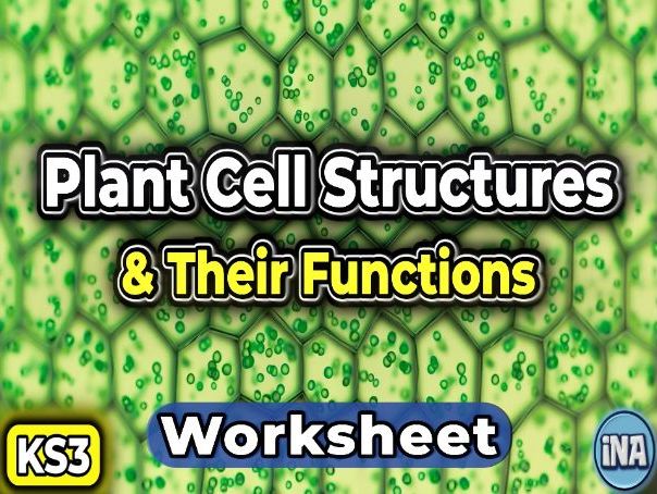 Plant Cell Structures and Their Functions - KS3 Biology Worksheet