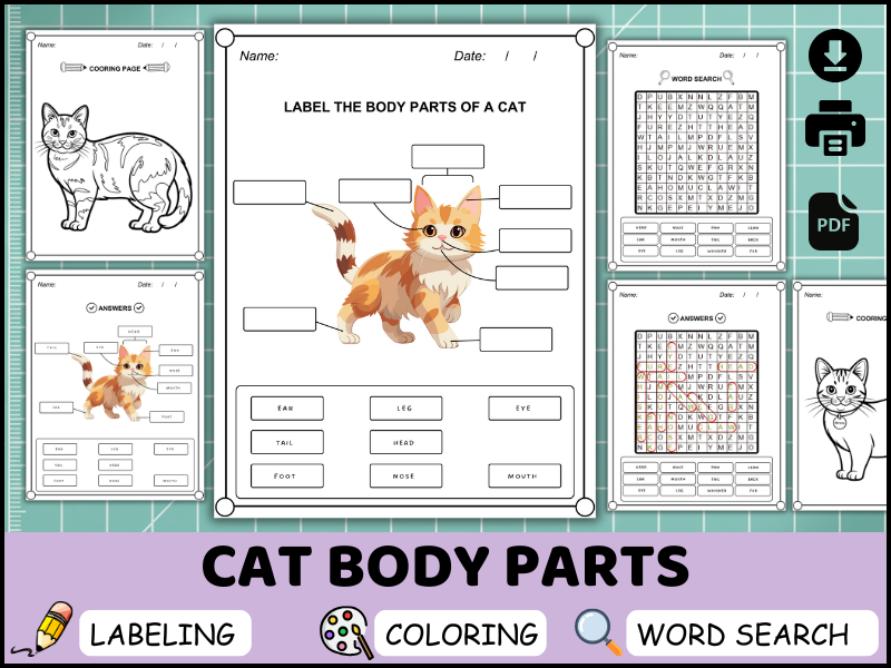 Cat Body Parts Worksheet, Labeling Diagram PDF, Animal Science Activity, Coloring & Word Search