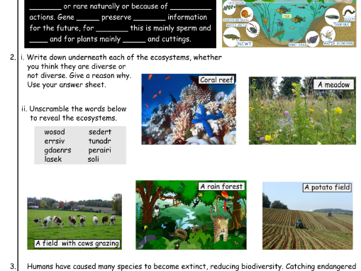 Biodiversity and Gene Banks KS3 WHOLE LESSON RESOURCE