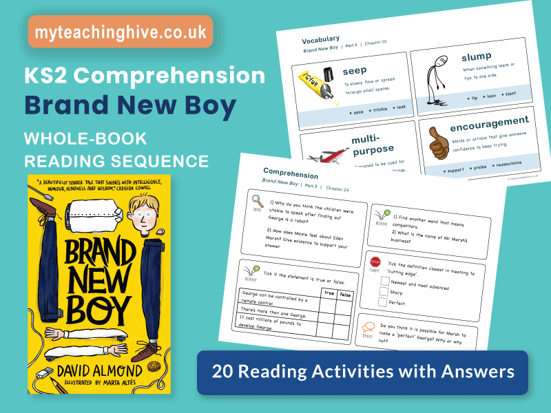 Brand New Boy - Whole Class Reading - age 8+