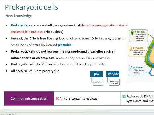Eukaryotic and prokaryotic cells lesson. (Biology GCSE AQA)