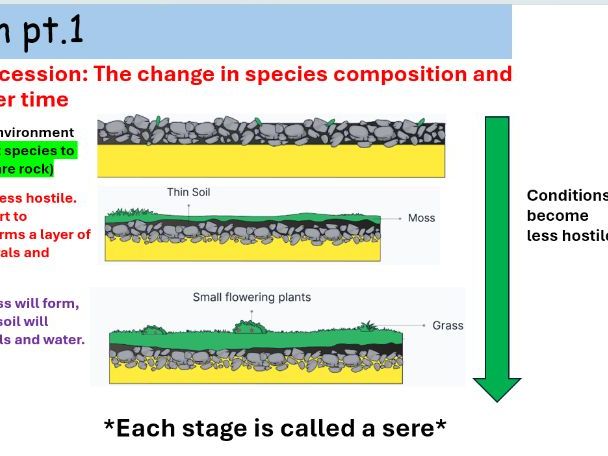 WJEC A level Biology A2 Unit 3 Topic 3.5: Populations and ecosystems powerpoints for whole topic
