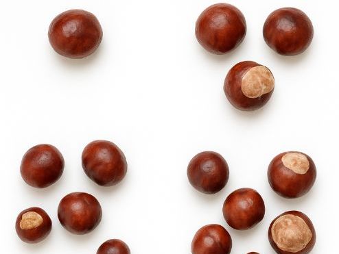 Subitising Subitizing Conkers  Worksheet Autumn