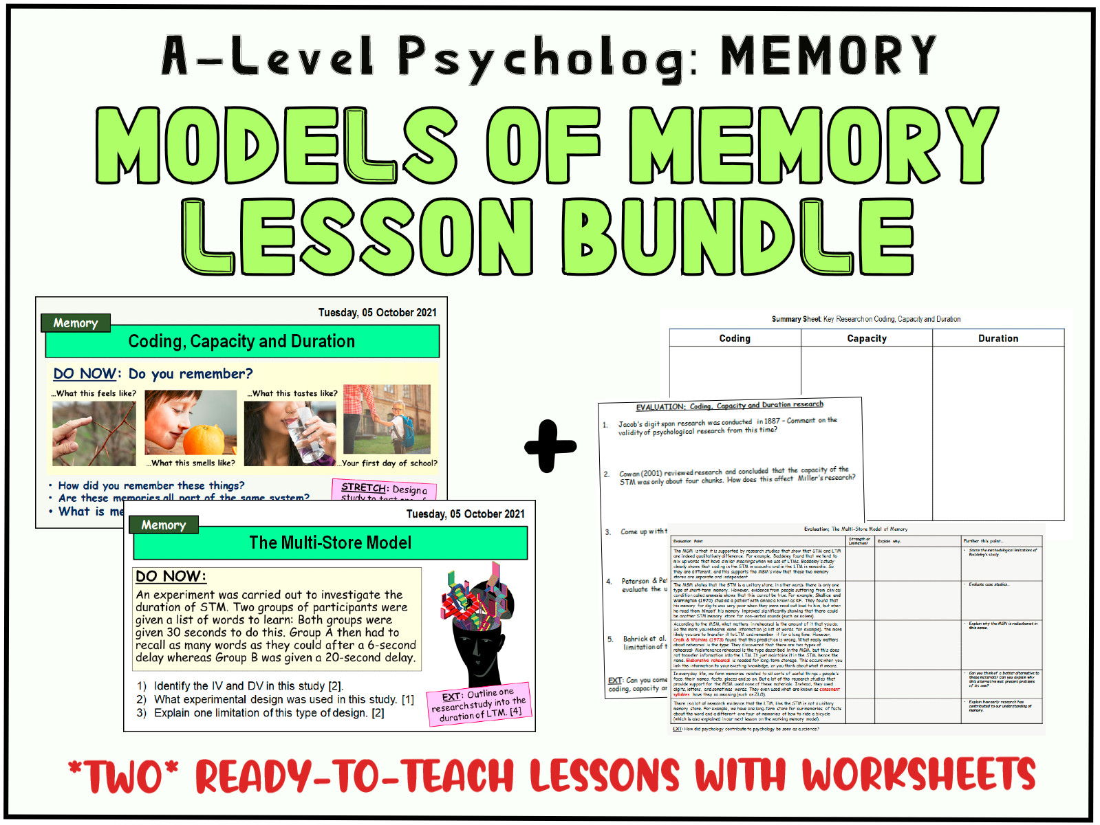 MODELS OF MEMORY BUNDLE: Includes the Multi-Store Model and The Working ...