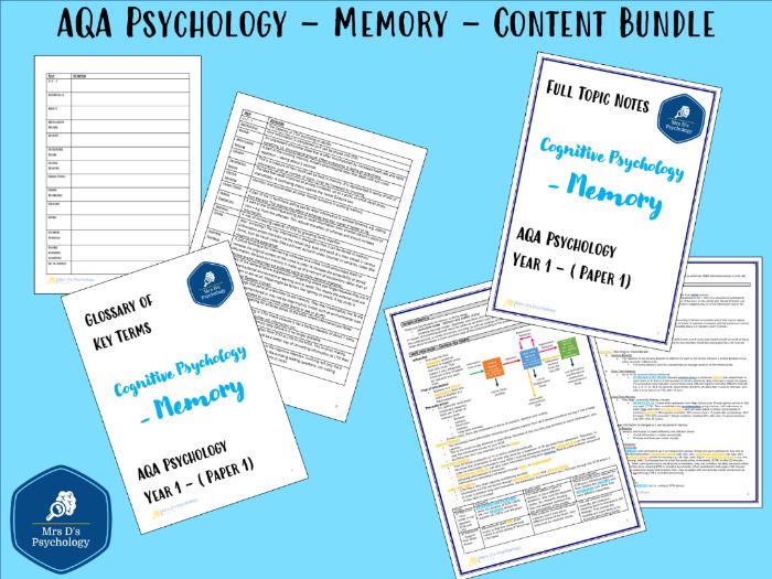 Memory (AQA Psychology) - Full Topic Notes & Glossary (New Spec - A Level Exams 2027)