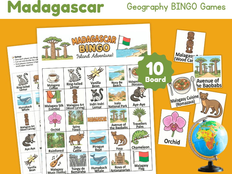 Madagascar Bingo Game | Geography & Country Study Activity