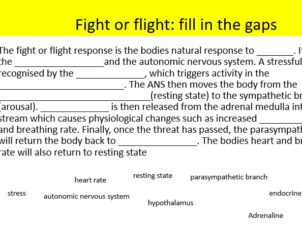 AQA Psychology Biopsychology Bundle