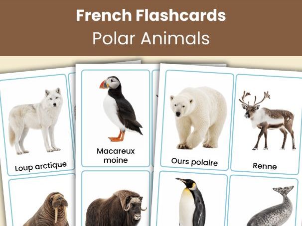 French Polar Animals Flashcards | 28 Printable Vocabulary Cards