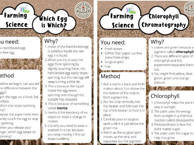 Farm Science Experiments for Kids | STEM Activities for School & Homeschool | Hands-On Farm-Themed